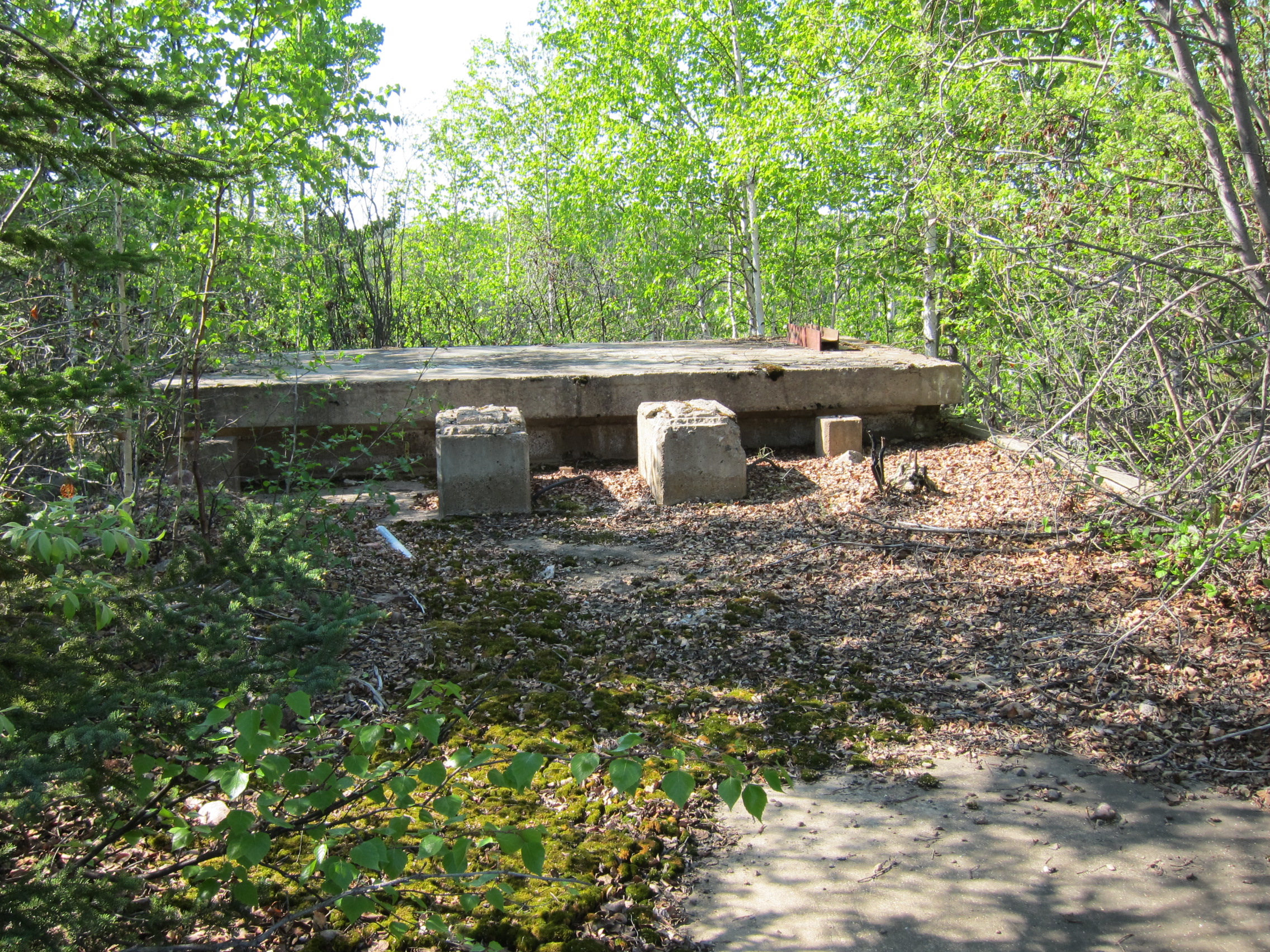 Remnants of a concrete structure in the forest