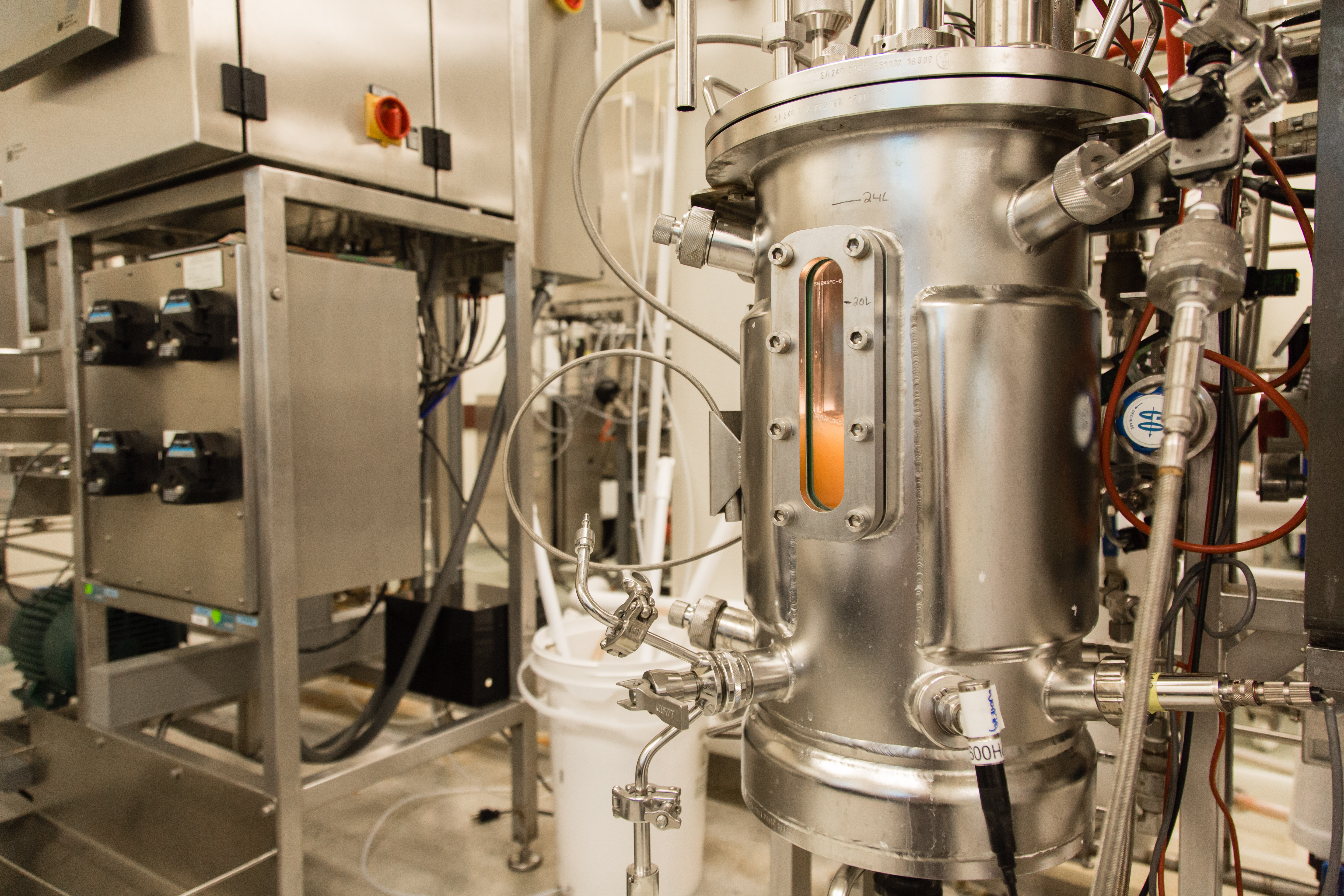 bioreactor in a fermentation lab