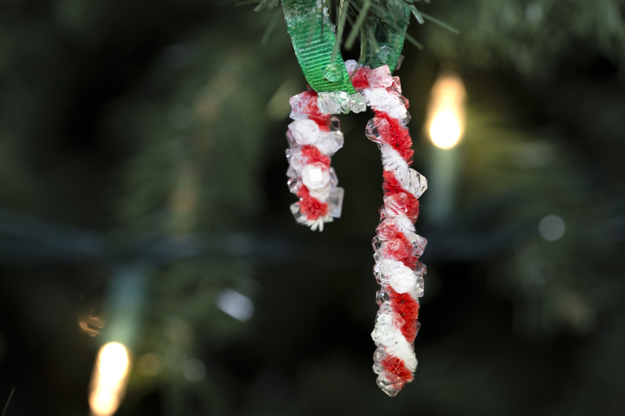 crystal candy cane hanging on a tree