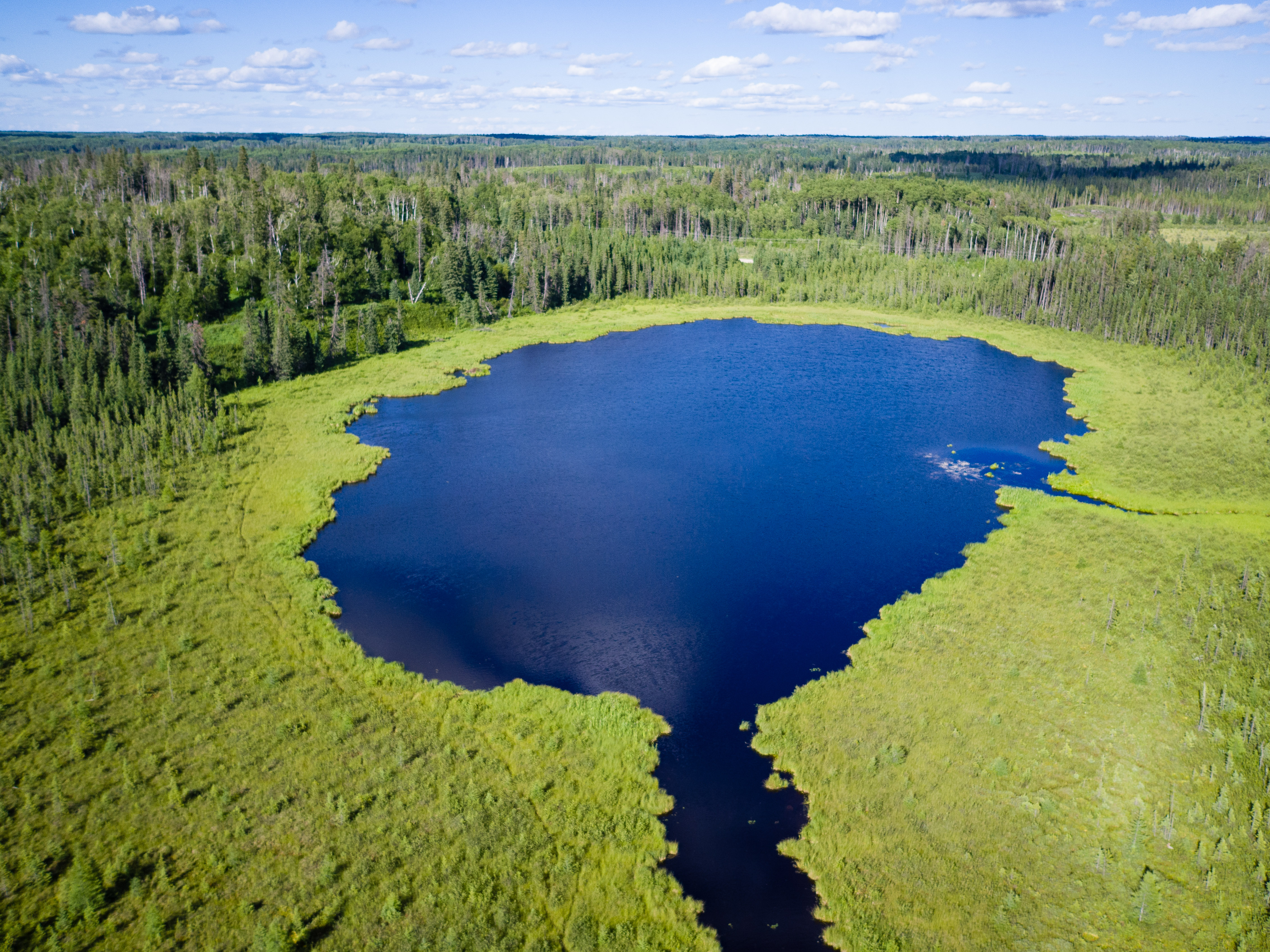 aerial view of wetland in manitoba