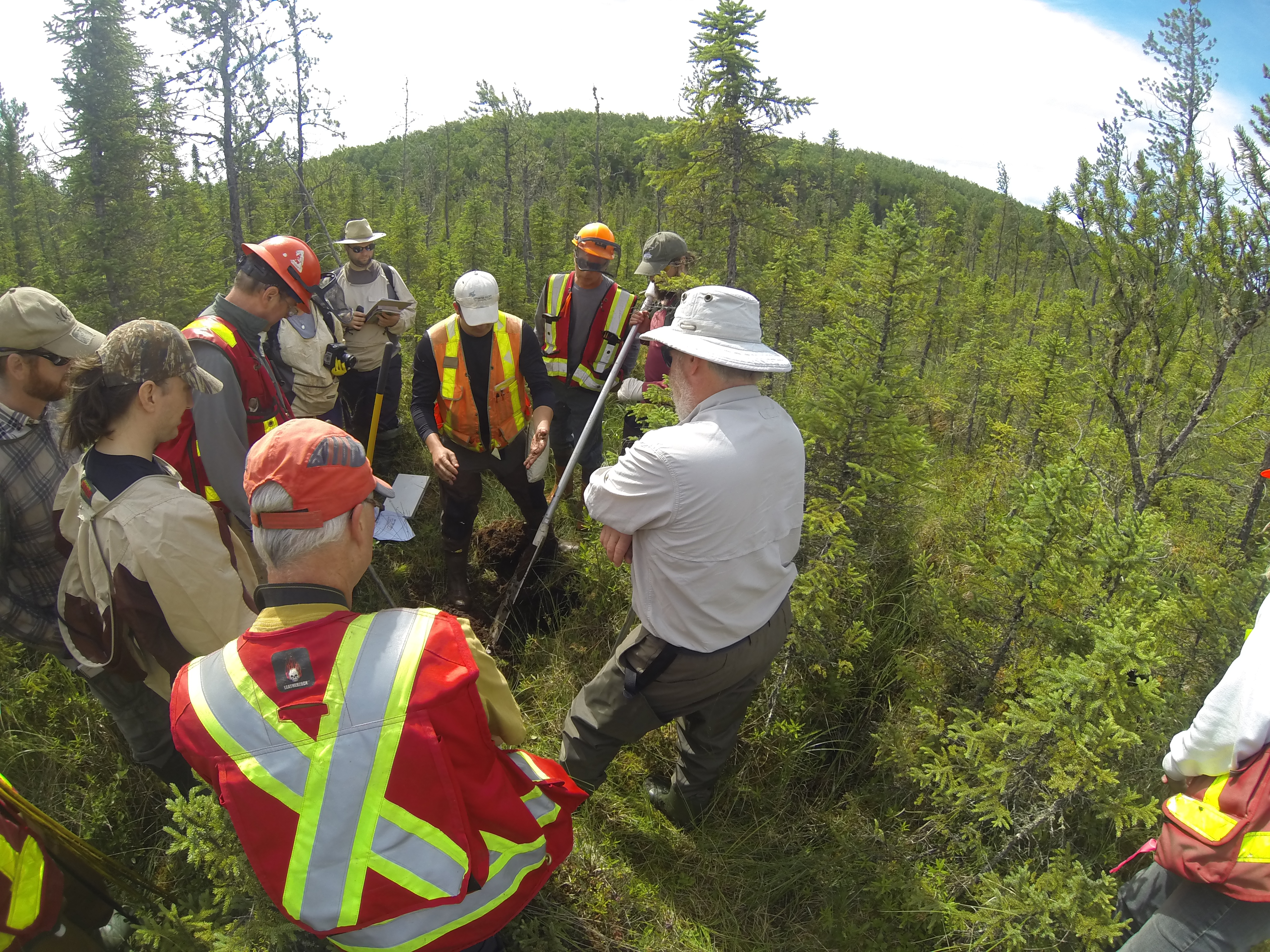 workers stand in wetland looking at samples