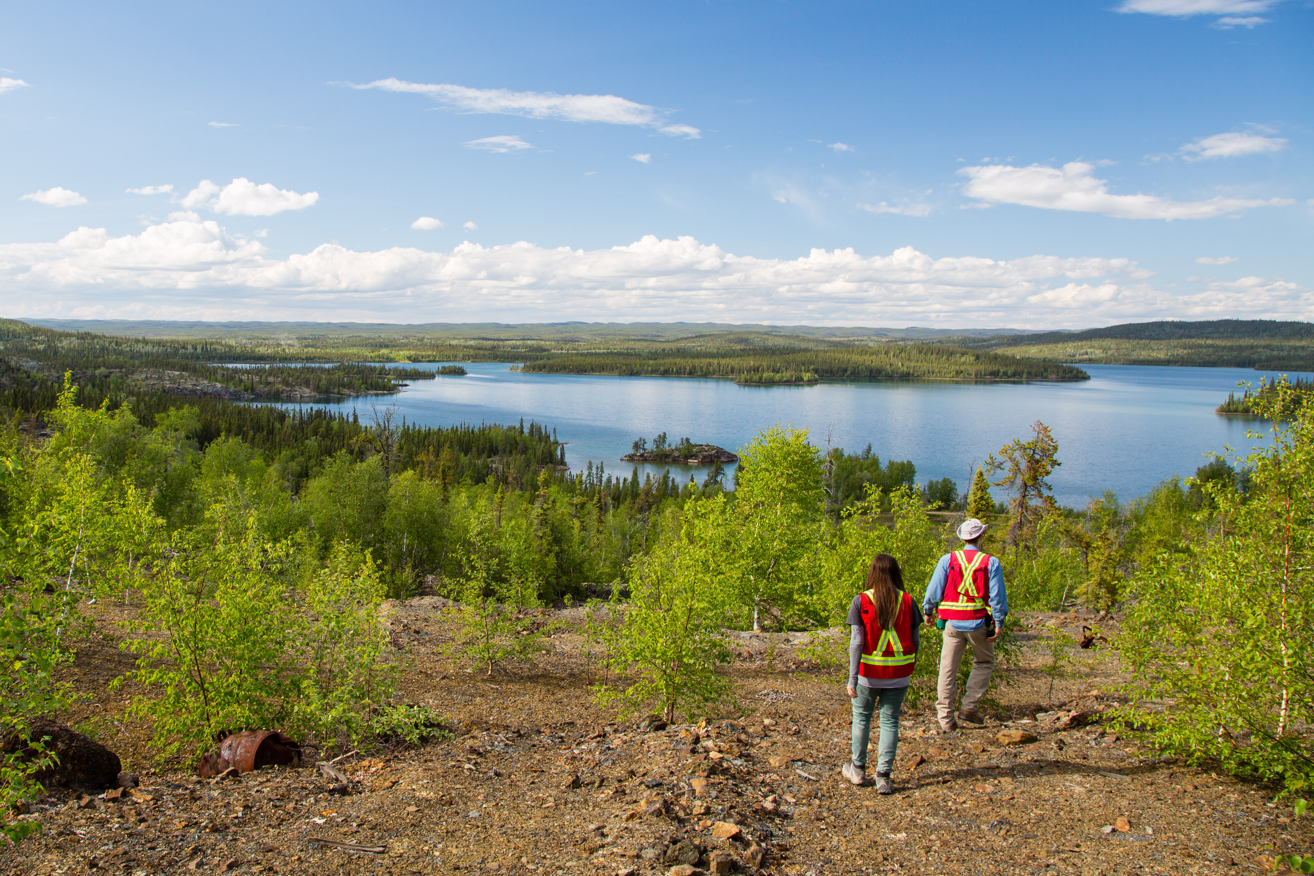 two field workers in a forest