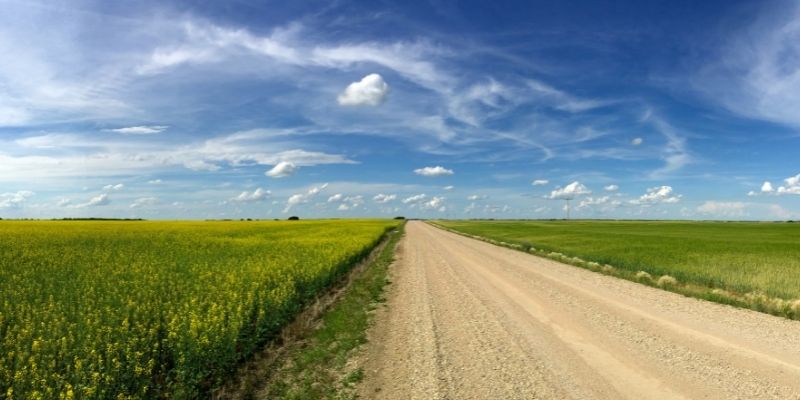 sask landscape