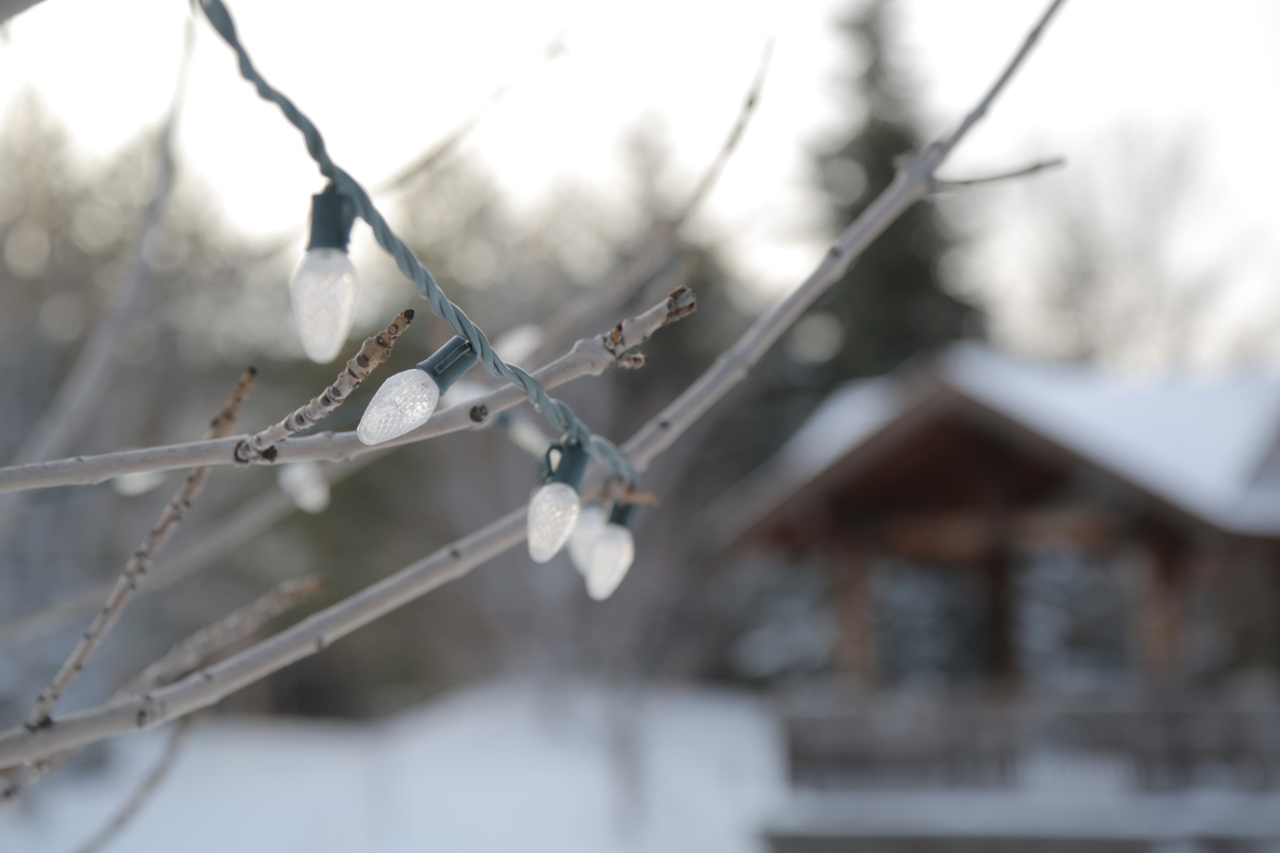 winter scene with string of lights