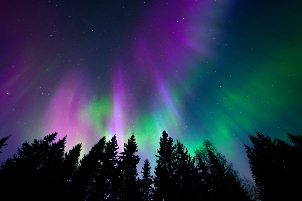 northern lights in saskatchewan