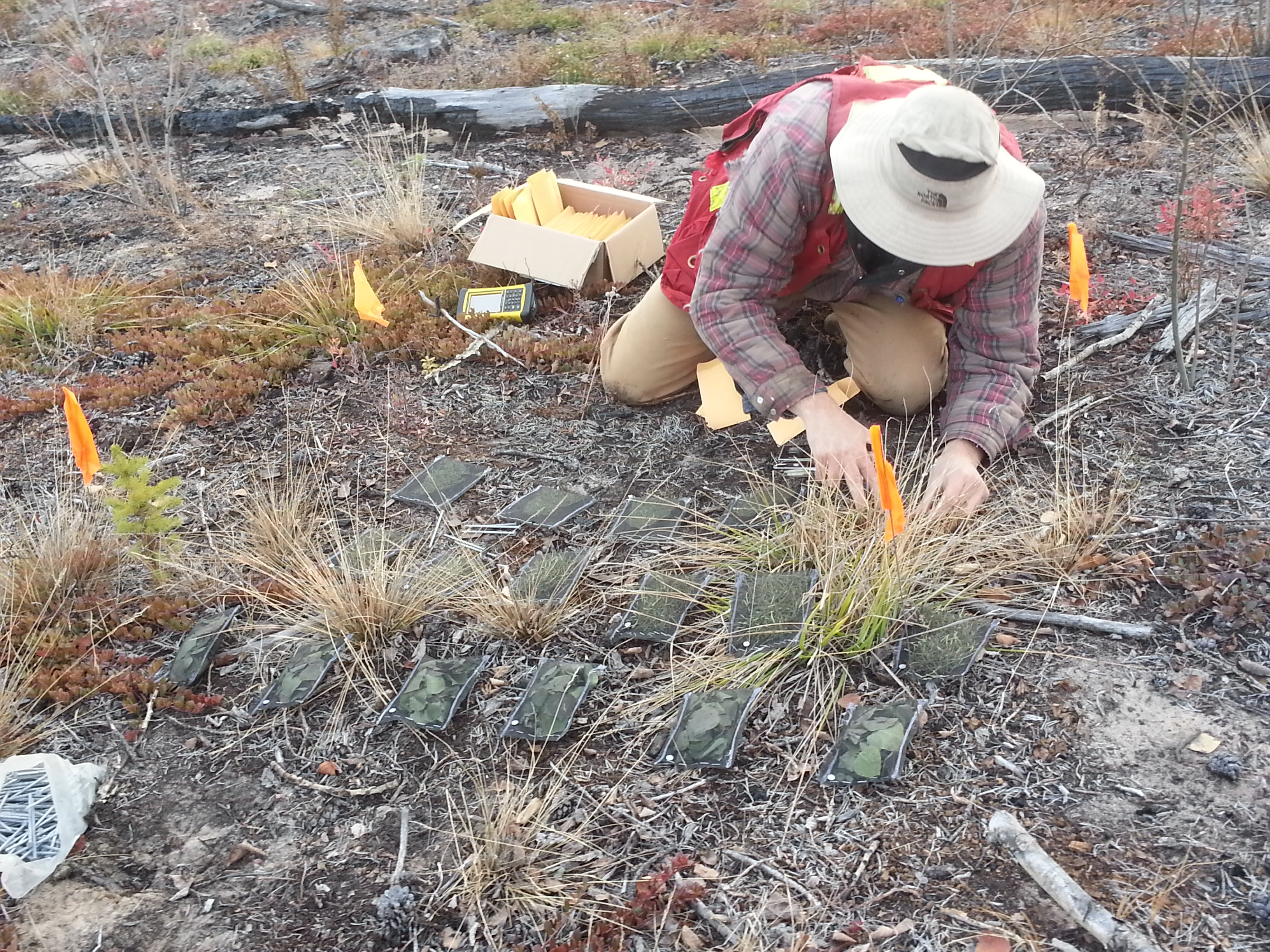 src employee doing field work