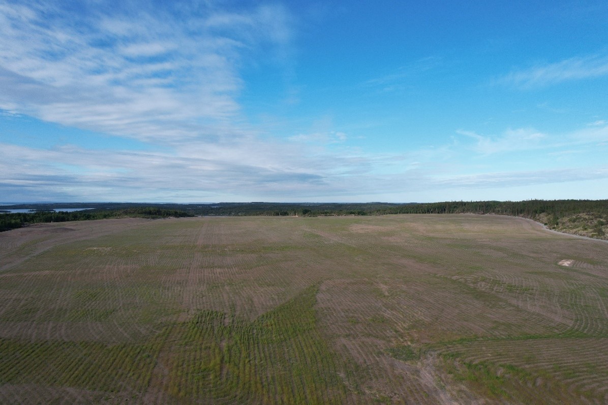 SRC aerial perspective of a revegetated tailings field at gunnar