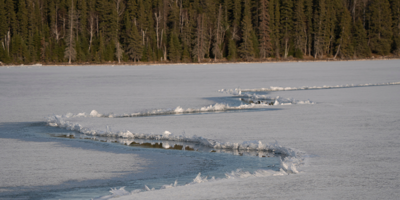 frozen lake beginning to thaw with snow-covered trees in the background