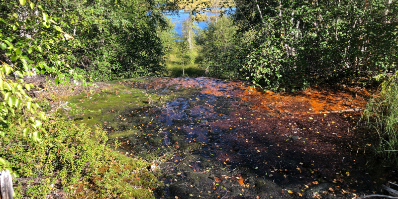 a project cleans satellite site