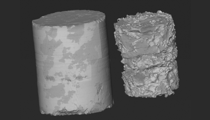 src volume rendering of a potash plug