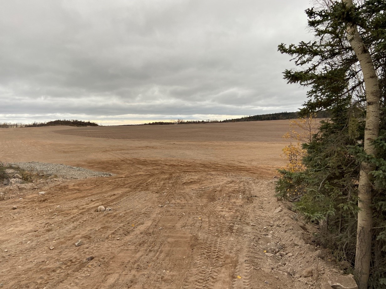 Freshly sown tailings field at Gunnar in Fall 2021.