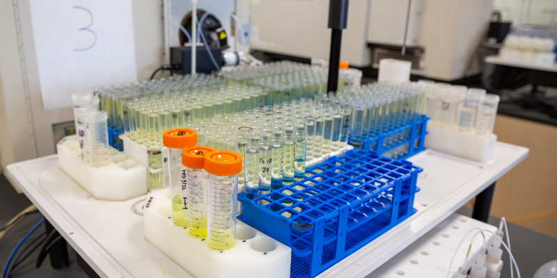 samples at src geoanalytical lab