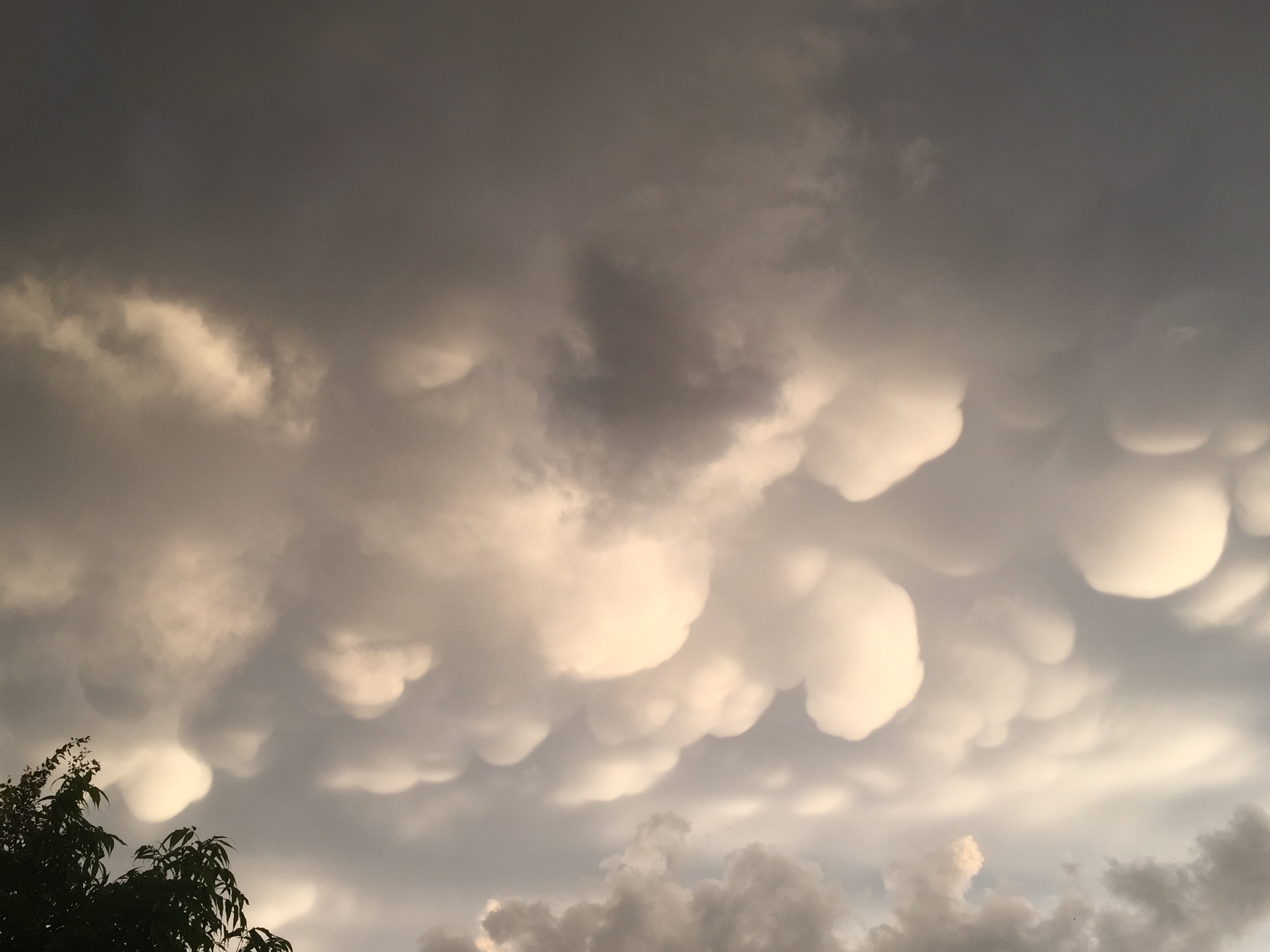 mammatus clouds