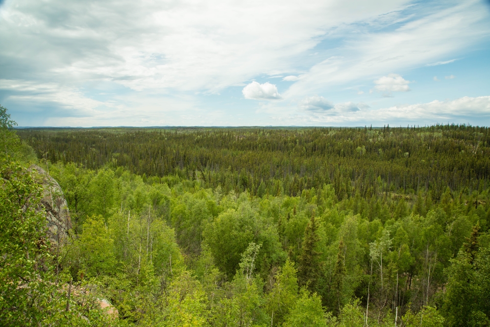 Climate change vulnerability assessment sheds light on future of boreal ...