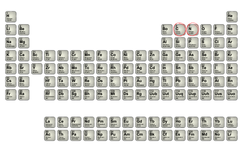 a periodic table with carbon and nitrogen circled