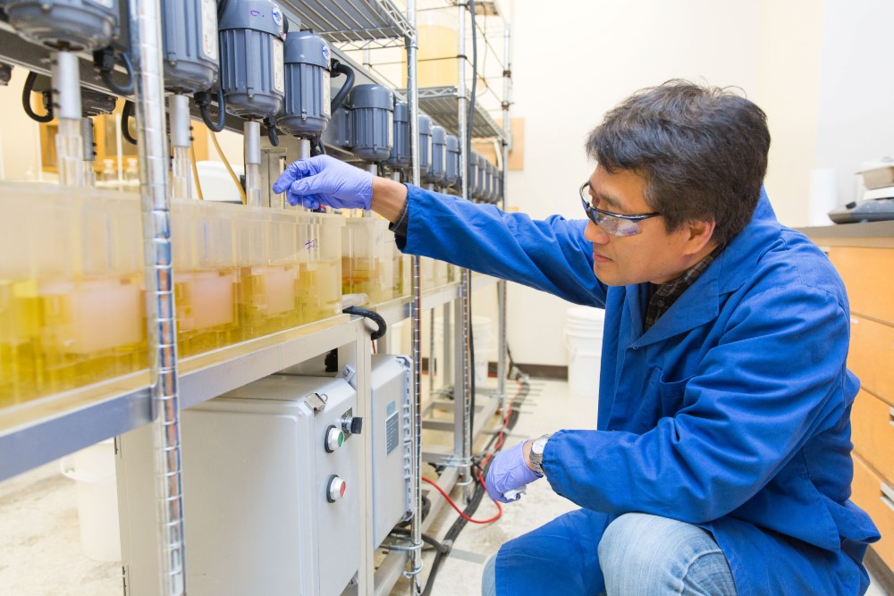 Engineer examines yellow liquid in SRC lab setting 