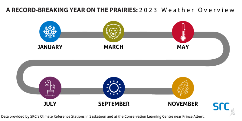 Colourful timeline of the different seasons in Saskatchwan