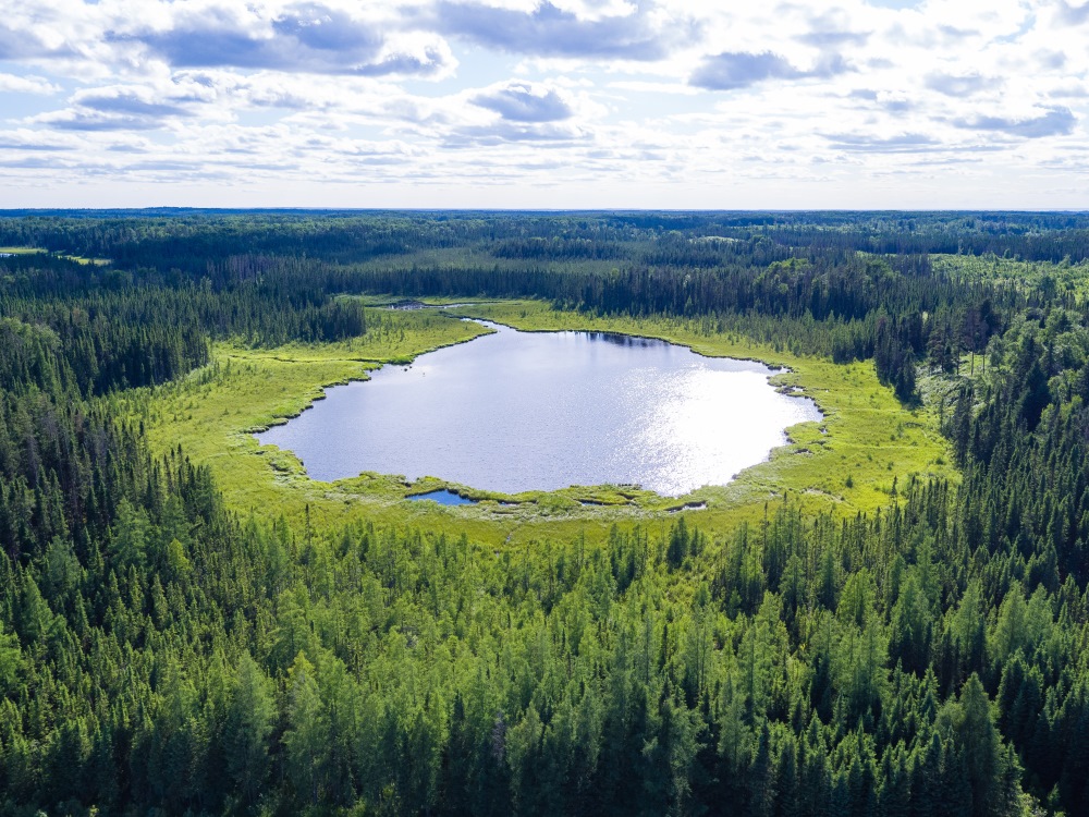 src wetlands project area in manitoba