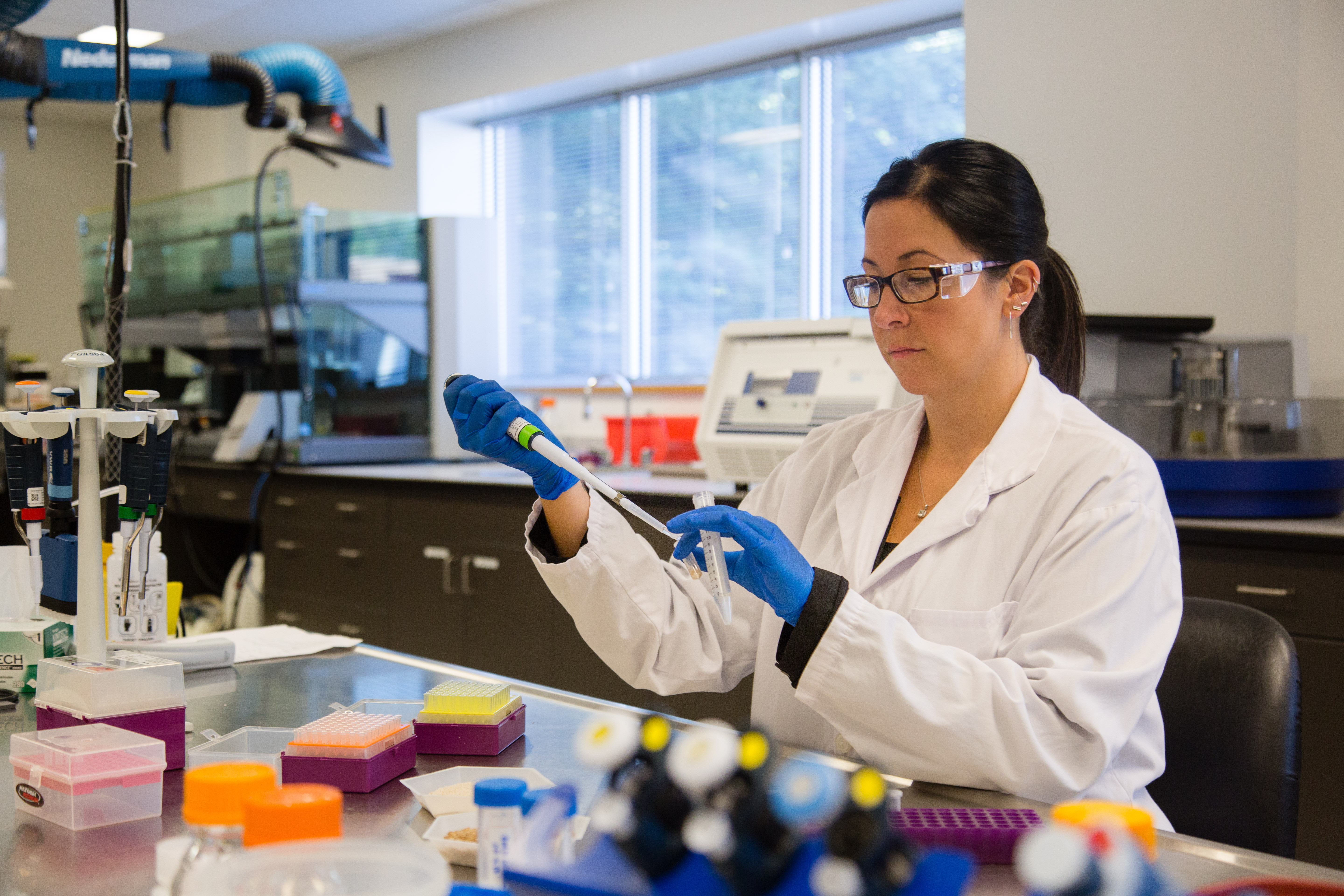 lab worker pipettes seeds into tube