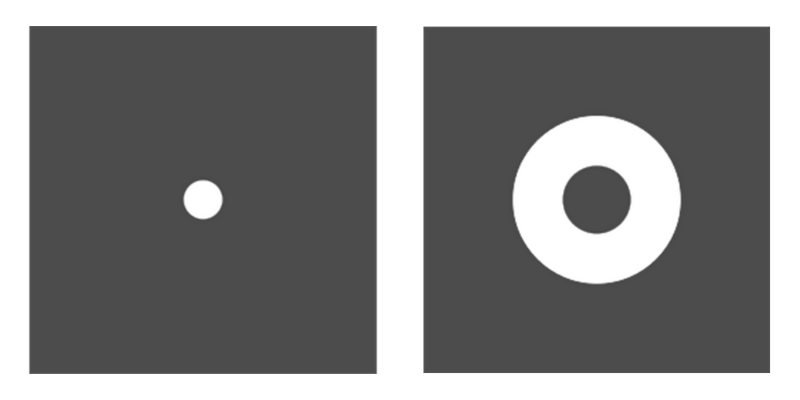 The image on the left shows the filtered anti-scatter response, so only the light not diffused by the particle is sensed. The image on the right shows the filtered scatter response, so only the light diffused by the particle is sensed