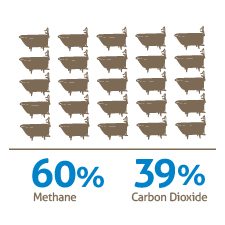 biodigester production stats