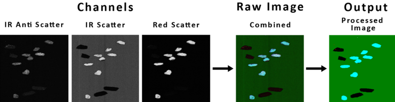 SRC Image showing the characterization of the ore to determine the sortability of the material, and the parameters required prior to sorting testwork in a quartz-bearing gold application. Turquoise rocks in the output are classified as quartz, with waste material being black