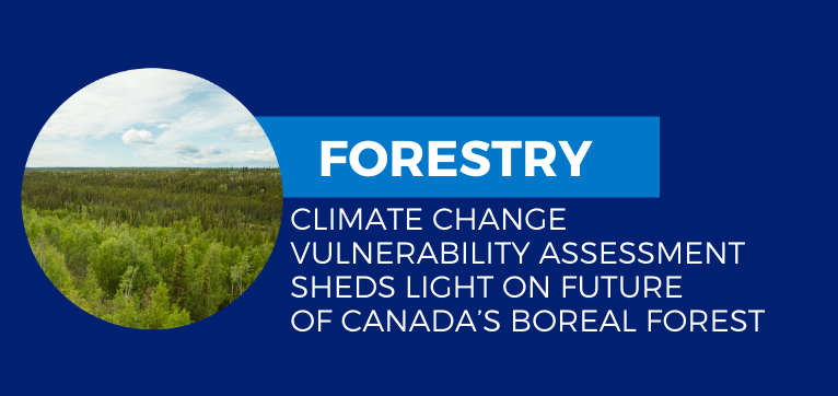 forestry at src