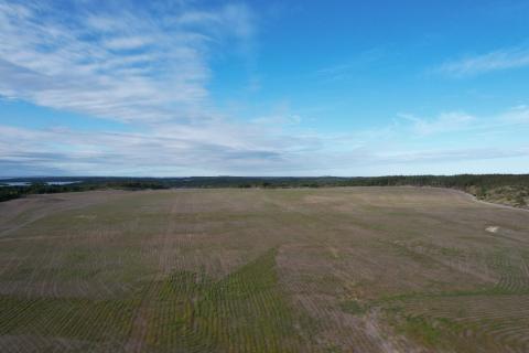 SRC aerial perspective of a revegetated tailings field at gunnar mine site 