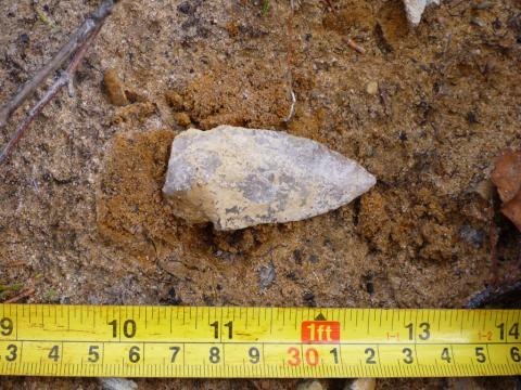 Projectile point in situ at discovery site