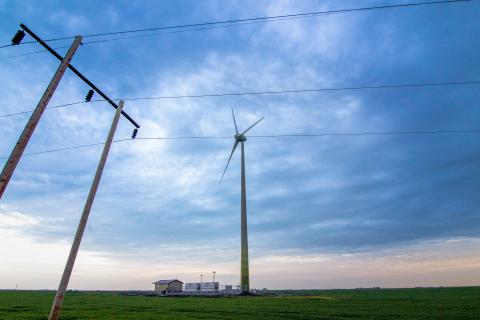 Wind turbine in a field