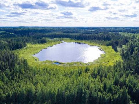 src wetland project area in manitoba