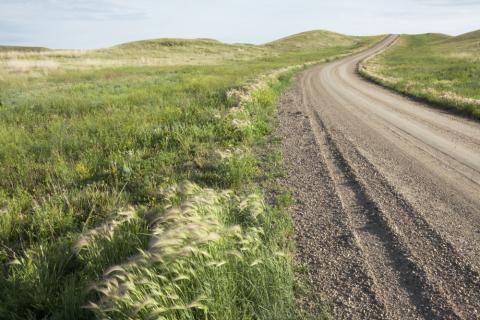 dirt road through a field