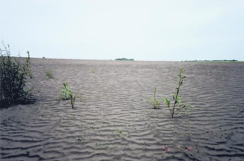 drought on the prairies