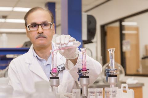 man pour pink liquid into test tubes