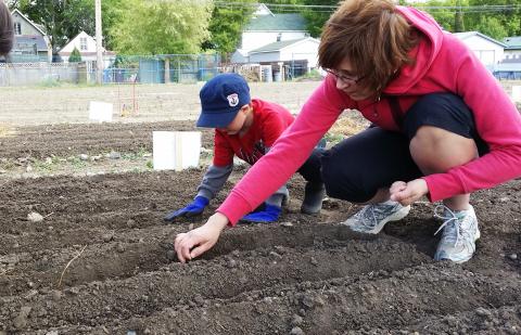 a woman and young boy plant seeds