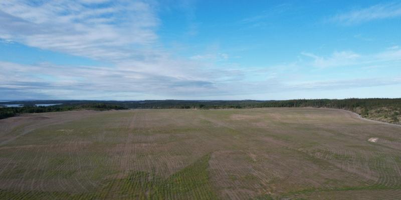 SRC aerial perspective of a revegetated tailings field at gunnar mine site 