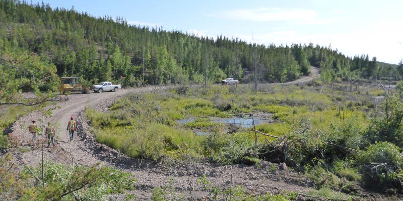 Trail created across beaver pond to access Rix-Smitty Zone 62 for remediation, 2016