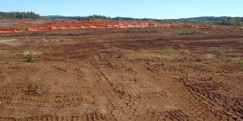 dirt area with tire tracks surrounded by orange fence