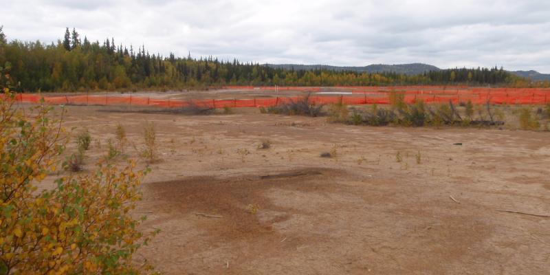 dirt area in remote forest surrounded by orange fence