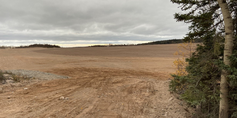 freshly sown tailings