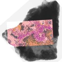 src mineral map using QEMSCAN and micro-CT imaging