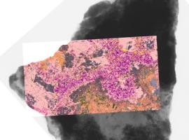 x-ray image of a rock sample with pink mineral map overlaid